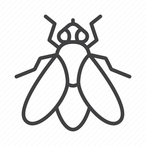 Bug, fly, housefly, pest icon - Download on Iconfinder