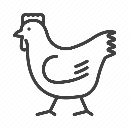 Bird, chicken, rooster icon - Download on Iconfinder