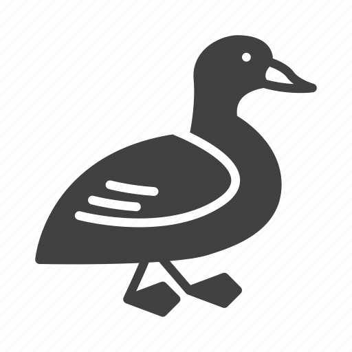 Beak, bird, duck icon - Download on Iconfinder on Iconfinder