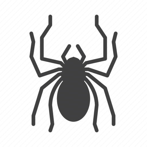 Insect, pest, spider icon - Download on Iconfinder
