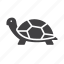 animal, slow, tortoise, turtle 