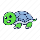 animal, sea turtle, tortoise, turtle
