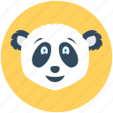 animal, giant panda, panda, panda bear, panda face