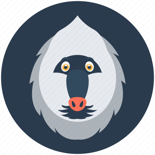 Anima, cuscus, cuscus bear, phalanger, wild animal icon - Download on Iconfinder