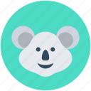 animal, koala, koala bear, wallaroo, wombat