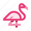 animal, flamingo, pink, bird, wild nature, wild life 