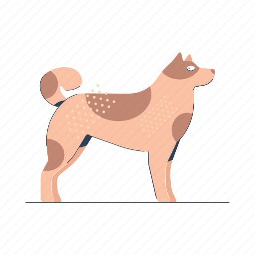 Animals, dog, pet, animal, nature, wildlife, canine icon - Download on Iconfinder