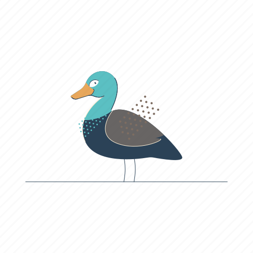 Animals, duck, bird, animal, wildlife, nature icon - Download on Iconfinder