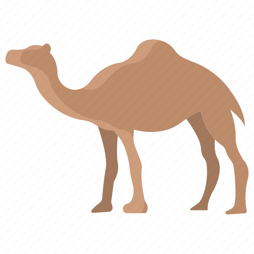 Camel, body, animal, wildlife icon - Download on Iconfinder