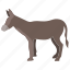 donkey 