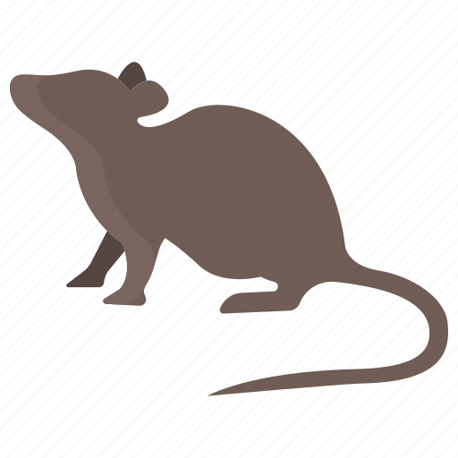 Rat icon - Download on Iconfinder on Iconfinder