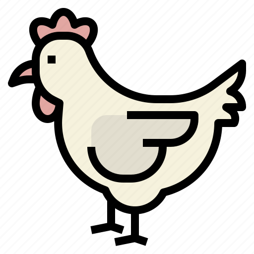 Chicken, animal, animals, zoo, hen, farming icon - Download on Iconfinder