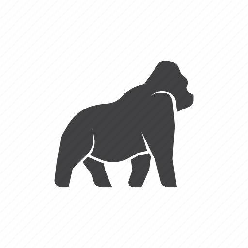 Animal, zoo, wild, animals, mammal, nature, gorilla icon - Download on Iconfinder