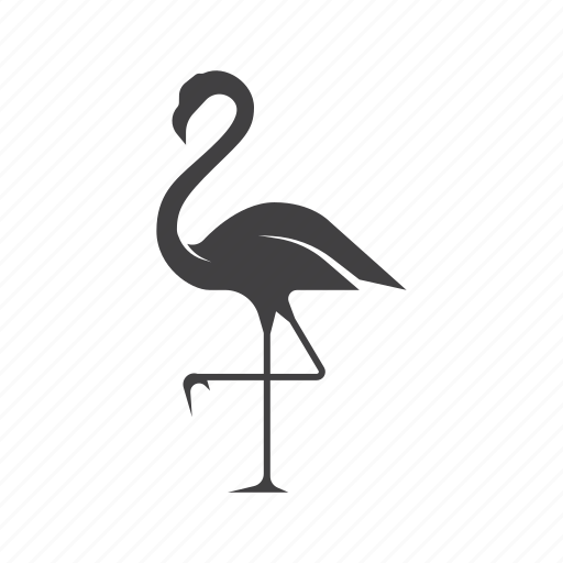 Flamingo, animal, zoo, wild, bird, fly, pet icon - Download on Iconfinder