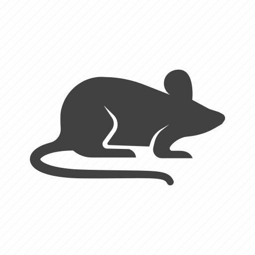 Rat, wild, animals, animal, mice, mouse, rodent icon - Download on Iconfinder