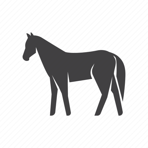 Horse, farm, animal, riding, sport, zoo, wild icon - Download on Iconfinder