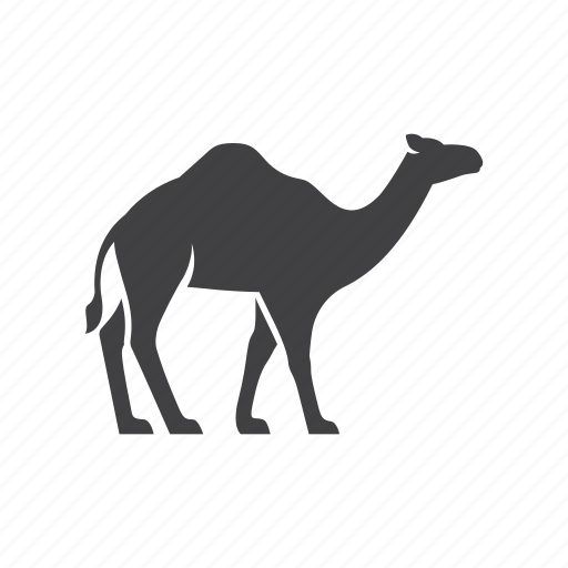 Camel, desert, zoo, animal, ramadan, wild, mammal icon - Download on Iconfinder