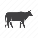 cow, angus, milk, farm, beef, animal, cattle, meat, herbivore