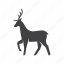 deer, animal, animals, christmas, pet, wild, reindeer, zoo, herbivore 