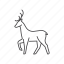 deer, wild, elk, animal, winter, santa, reindeer, mammal, herbivore