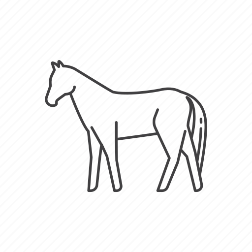 Horse, zebra, farm, animal, sport, riding, pet icon - Download on Iconfinder
