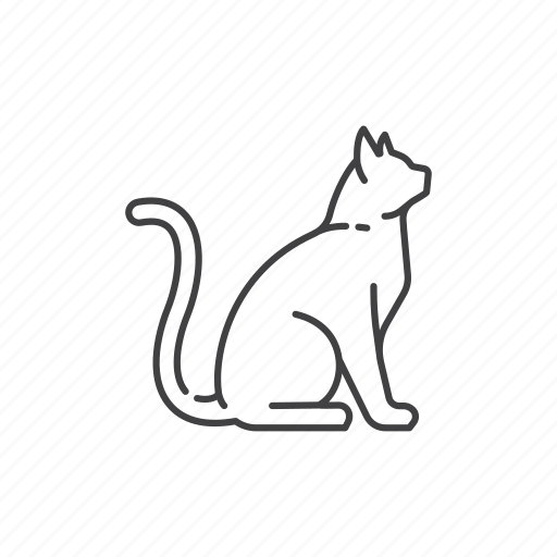 Cat, animal, kitten, pet, wild, zoo, mammal icon - Download on Iconfinder