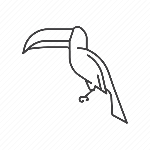 Hornbill, bird, pet, fly, animal, aves, zoo icon - Download on Iconfinder