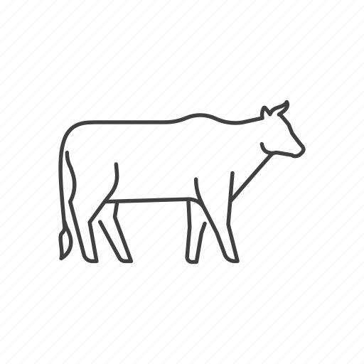 Cow, farm, animal, cattle, beef, bull, pet icon - Download on Iconfinder