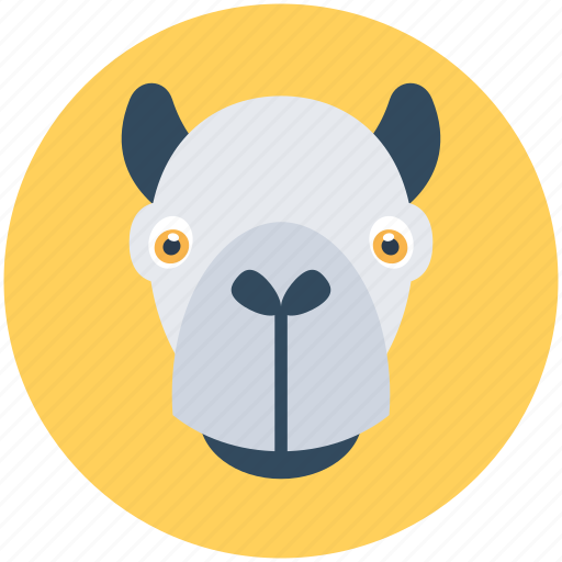 Hippo, safari, wild hippo, wildlife, zoo icon - Download on Iconfinder
