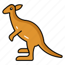 marsupial, hoppers, australian, wildlife, kangaroo, species, joey, development, conservation
