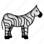striped, african, wildlife, zebra, stripes, function, equine, behavior 