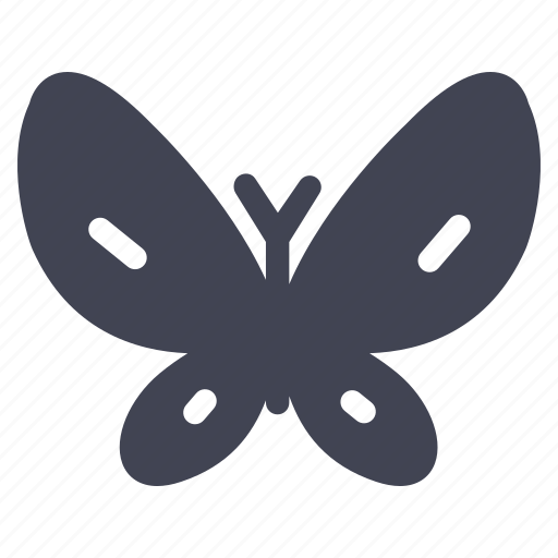 Butterfly, animal, insect, nature, wings icon - Download on Iconfinder