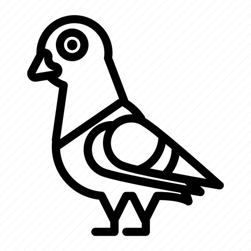 Animal, bird, dove, pigeon, city icon - Download on Iconfinder