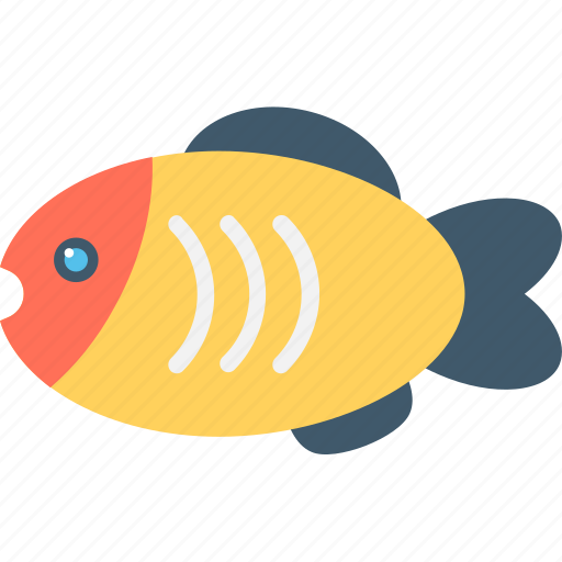 Animal, fish, goldfish, mammal, seafood icon - Download on Iconfinder