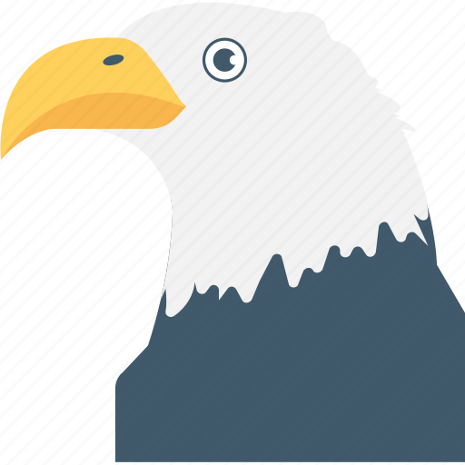 Bird, bird of prey, eagle, golden eagle, raptor bird icon - Download on Iconfinder