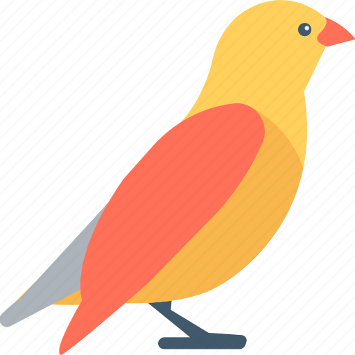 Bird, parrot, pet, psittacines, zoo icon - Download on Iconfinder