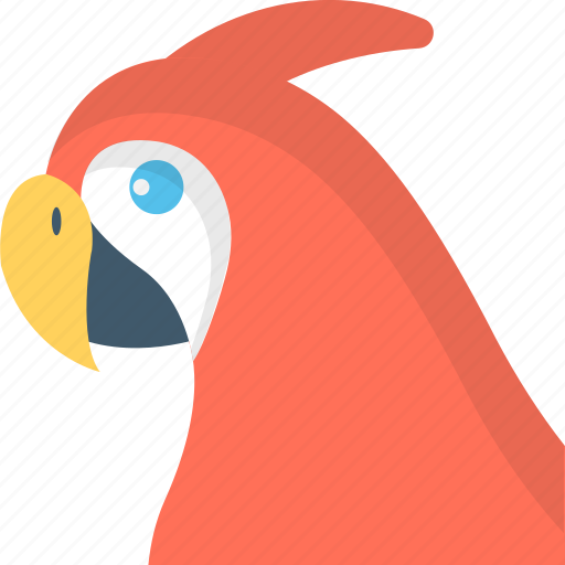 Bird, parrot, pet, psittacines, zoo icon - Download on Iconfinder