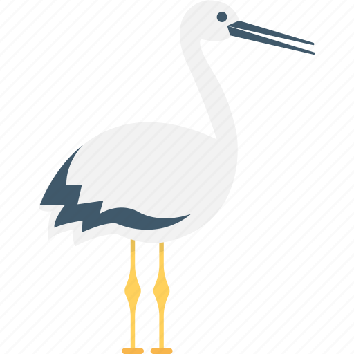 Bird, common ostrich, emu, ostrich, zoo icon - Download on Iconfinder
