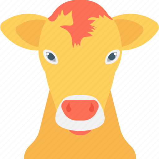 Animal, calf, cattle, cow, farm animal icon - Download on Iconfinder