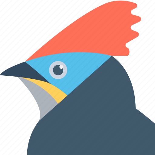 Bird, hoopoe, hoopoe bird, upupidae, woodcutter bird icon - Download on Iconfinder