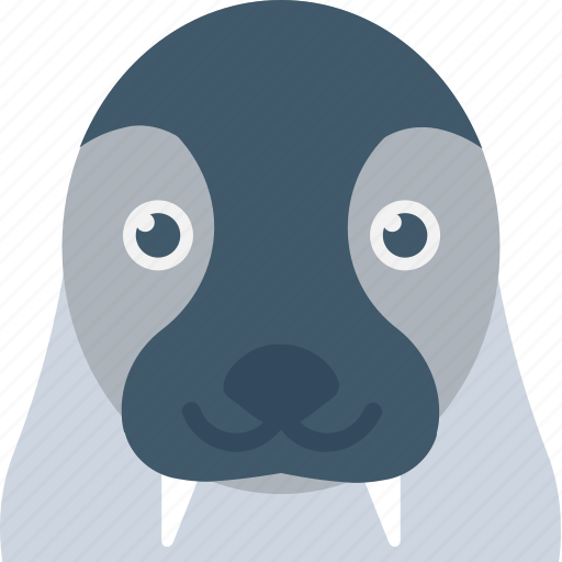 Animal, aquatic mammal, morsa, sea cow, walrus icon - Download on Iconfinder
