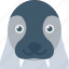 animal, aquatic mammal, morsa, sea cow, walrus 