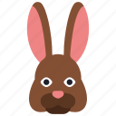 bunny, rabbit, animal, kingdom, mammal, zoo