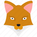 fox, animal, kingdom, mammal, zoo