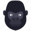 gorilla, animal, kingdom, mammal, zoo 