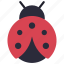 ladybug, insect, creature, animal, bug 