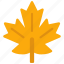 maple, leaf, canada, tree, leaves 