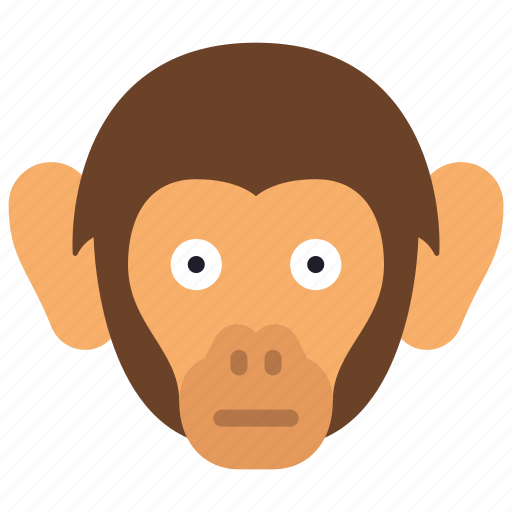 Monkey, animal, kingdom, mammal, zoo icon - Download on Iconfinder