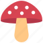 mushroom, food, grow, natural 
