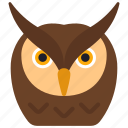 owl, animal, kingdom, mammal, zoo